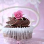 Chocolate & Vicodin: A Review