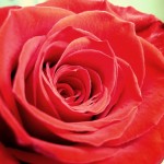 Women’s Day Is Every Day
