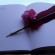 The Empty Page The Empty Page