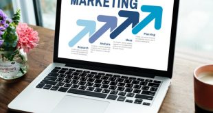 Affiliate Marketer
