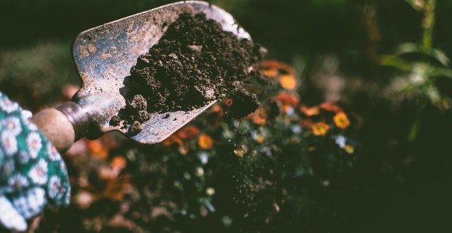 Get The Most From a Garden