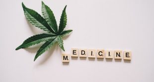 Accessories For A More Healthful Smoking Experience