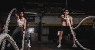 gym equipment dealer