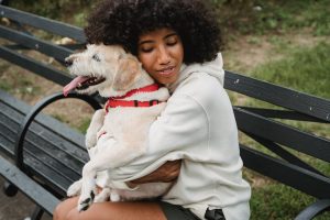 emotional support animals