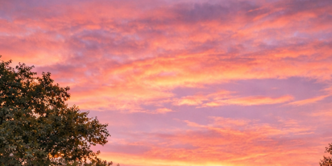 intentional positivity