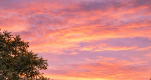 intentional positivity